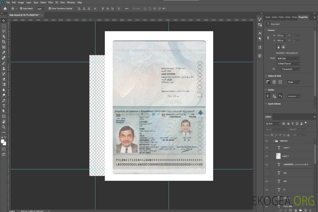 Passeport du Liban 2022-présent template